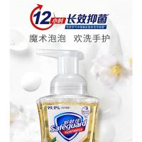 白茶香型洗手液225ml*2 洗手液 泡沫型白茶香型洗手液225ml*2洗去细菌家用便捷式
