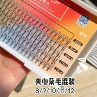 假睫毛女自然仿真单簇眼睫毛嫁接夹心朵毛仙女子毛芭比C翘组合装
