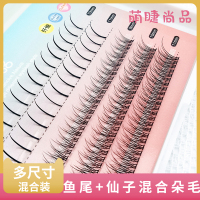 仙子毛睫毛鱼尾朵毛A型仙女假睫毛嫁接 分段式芭比翘漫画款混合装