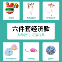 六件套经济款 猫玩具套装逗猫棒激光笔羽毛铃铛组合幼小猫磨牙耐咬自嗨猫咪用品