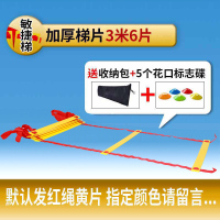 4mm加厚梯片可调节款3米6片(送收纳袋+花口标志碟5个) 足球训练器材敏捷梯绳梯训练梯协调性训练器材篮球辅助训练跳格梯
