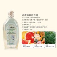 泰国进口内衣裤洗衣液500ml祛血渍抑菌消毒女士专用清洗液