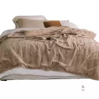 安居先森舒寐狐裘绒毯毛毯双人200*230cm 3500g D3652(条)