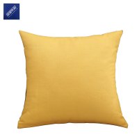 安居先森城市青春亚麻抱枕 40*40cm D4089 (个)