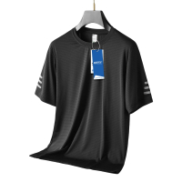 安居先森2119吸湿透气冰丝弹力速干圆领短袖T恤 男款L-5XL 黑色(件)