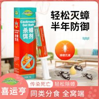澳洲喜运亨 蟑螂药杀蟑胶饵10g 杀虫剂家用蟑螂克星小强一窝端