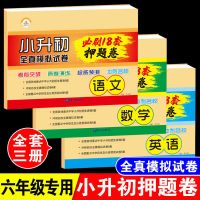 [语数英共54套试题]小升初押题卷 小学数学培优小升初必刷题六年级数学思维训练同步练习人教版通用