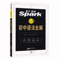初中英语语法全解 英语初中英语语法全解 英语语法大全 艾派智能书 辅导教材