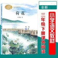 荷花 剃头大师三年级下册课外书必读经典书全套童年的水墨画荷花我变成