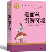 爱丽丝漫游奇境(名家名译) 老师推荐三年级下册必读乌丢丢的奇遇爱丽丝漫游奇境女生贾梅推荐