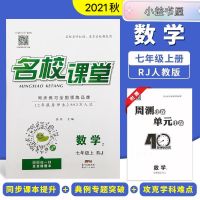 2020秋名校课堂七年级数学上册RJ人教版同步练习题册中学教辅资料