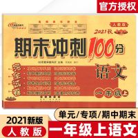 一年级上册 语文(人教) 期末冲刺100分试卷一二三四五六年级上下册人教北师大外研版试卷