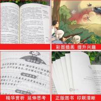 繁星春水 宝葫芦的秘密 小英雄雨来青铜葵花四年级下册课外书必读