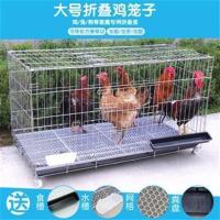 北京 天津 河北 不带轮加粗70*50*60cm 鸡笼子养殖笼鸡笼家用大号特大号加密养鹌鹑兔笼狗笼猫笼鸽子笼子
