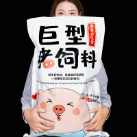 巨型猪饲料白色款(100包休闲零食) 生日礼物送女友女生朋友闺蜜老婆女孩惊喜浪漫创意特别实用走心的