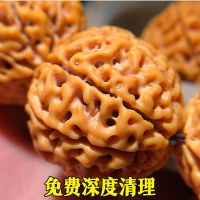 (深清)六瓣18-20mm12+1颗 (深度清理)金刚菩提手串男士女大金刚菩提子佛珠手链7七8瓣原籽