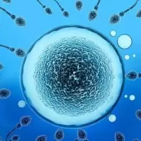 [男士调理包]30包 女性调理泡脚包宫寒气虚血瘀痛经不调助眠驱寒调经促排疏通泡脚包