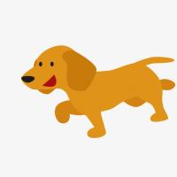 秋冬款衣服随机发(非主图) XS胸30cm背20cm约1-2斤 狗狗衣服宠物秋冬季加厚保暖雪纳瑞比熊泰迪法斗中小型犬棉服