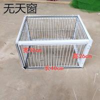 加密40*30*26(4个)进口 鸽子撞门笼加密天落笼只进不出捕鸽神器自动撞门笼子诱捕鸽子笼