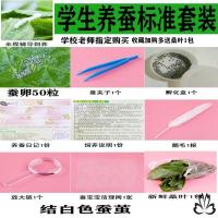 学生科普蚕卵套装 科普蚕宝宝套装儿童学生养蚕套装幼虫蚕卵活物虫子七彩小蚕彩色茧