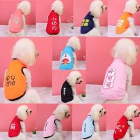 宠物衣服-随机 XS-建议1-2斤内 猫咪衣服冬季保暖防掉毛秋冬布偶猫暹罗猫猫冬天宠物小猫幼猫棉衣