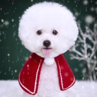 圣诞披风 S 狗狗圣诞猫咪小斗篷 伪装圣诞树斗篷披风猫猫狗狗节日衣服圣诞装