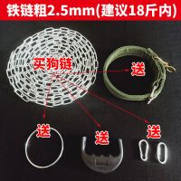长1米 铁链粗2.5mm(建议18斤内) 狗链子防咬铁链大型犬狗牵引绳金毛马犬德牧中型犬拴狗绳土狗铁链