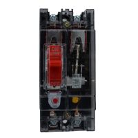 全铜2P-100A 白壳 家用塑壳断路器 220V单相二相空开DZ15-290/100a 空气开关断路器