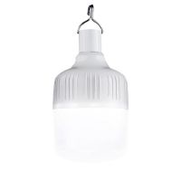 28瓦[体验款]送充电线 停电应急家用充电灯泡超亮多功能防水夜市usb户外摆摊灯无线照明