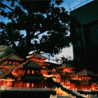 高质量 灯光版 秦国阿房宫配饰包20颗粒 兼容乐高益智小颗粒拼插积木古现代著名景建筑黄鹤楼阿房宫天安门