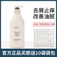 去屑洗发水1瓶 300ml 洗发水持久留香精油洗护祛屑轻柔清澈控油顺滑柔顺护发素套装