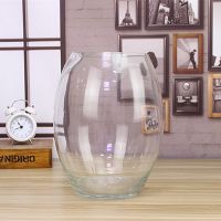 15号炮(空缸)_随机发个坏的 创意桌面鱼缸生态圆形玻璃金鱼缸乌龟缸迷你小型造景家用水族箱