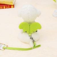 天使翅膀绿色 XS建议4斤以内 狗狗牵引绳宠物胸背带泰迪比熊小型犬遛狗绳背心式狗链子宠物用品