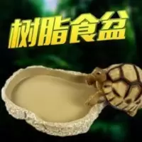 仿真爬虫食盆 宠物陆龟蜥蜴蜘蛛蝎子蛇水盆食盆菜盆 爬箱造景装饰 仿真爬虫食盆 宠物陆龟蜥蜴蜘蛛蝎子蛇水盆食盆菜盆 爬箱造