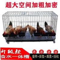 加粗70型70*50*60无赠品 北京 天津 河北 家用鸡笼特大号养鸡笼可折叠加粗加密养殖铁丝关鸡笼母鸡笼子鸡窝