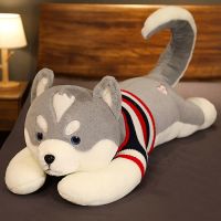 正版原创炫酷哈士奇-火山灰 80厘米[小朋友喜欢] 毛衣哈士奇公仔大号狗狗枕头毛绒玩具抱枕布娃娃玩偶女生生日礼物