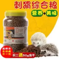 非洲迷你刺猬活物宠物 非洲迷你刺猬活物宠物粮食主食用品刺博士送面包虫干饲料买三送一