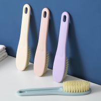 1个鞋刷_ 鞋刷子软毛家用洗鞋刷学生宿舍清洁刷洗衣刷多功能硬毛刷鞋塑料刷