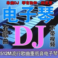 512MB电子琴DJ98首-无视频 电子琴DJ音乐U盘往事只能回味/你莫走歌曲重低音DJ音乐MP3音视频