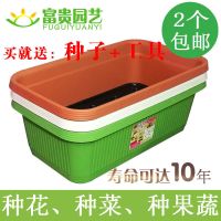黑色试用版 特大 阳台种菜盆神器花盆塑料长条大号长方形泡沫箱子蔬菜种植箱槽家庭