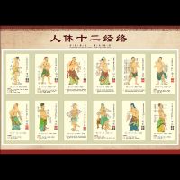 人体十二经络 60*90cm背胶(撕不烂) 人体12/十二经络穴位图解任督二脉挂图中医养生男女全身穴位海报