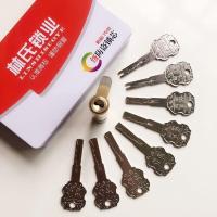 锁芯润滑剂1瓶(非锁具) 家用超C级锁芯 防盗门叶片锁铁钥匙全铜锁芯 防撬锁 通用型大门锁