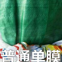 普通单膜 3*25 防寒绿布彩条布园林绿布绿化布防寒布绿植物防冻布塑料防风保温布