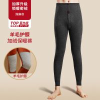 深灰色 单条装 L 110-120斤 男士加厚加绒打底裤羊绒护膝贴片宽松冬季中老年秋裤冬保暖裤