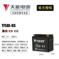 TF5DL(YTX5A小踏板100) 摩托车电池12v女踏板125豪爵王星鬼火小绵羊可替代汤浅YTX7A