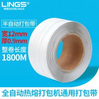 全自动机用打包带[长1800米/卷] 包装带PP机用打包带手工捆扎带塑料带编织带条热熔包装带扣加厚带