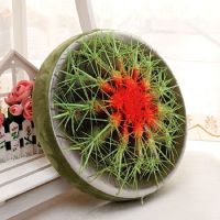 薄款仙人掌 创意3D水果坐垫学生靠垫抱枕加厚圆形儿童可爱卡通幼儿园西瓜椅垫