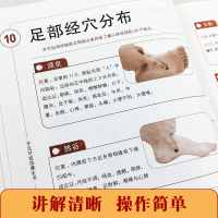 正版 手足对症按摩全书 实用的家庭常备健康宝典 按摩书籍 按摩书籍大全 图解 中医书籍 中医书籍大全 书籍