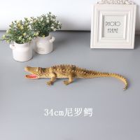 卡其色发声尼罗鳄(34cm) 仿真大号鳄鱼模型塑胶鳄鱼玩具软胶捏叫静态模型爬行动物认知摆件