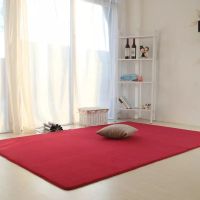 酒红色 40*60厘米[] 柔软短毛绒卧室地毯客厅沙发地毯床边毯简约飘窗满铺超榻榻米地垫